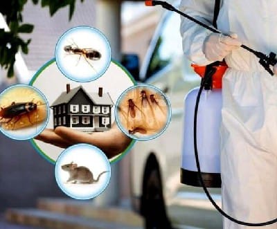 Safety, Compliance & Professional Handling